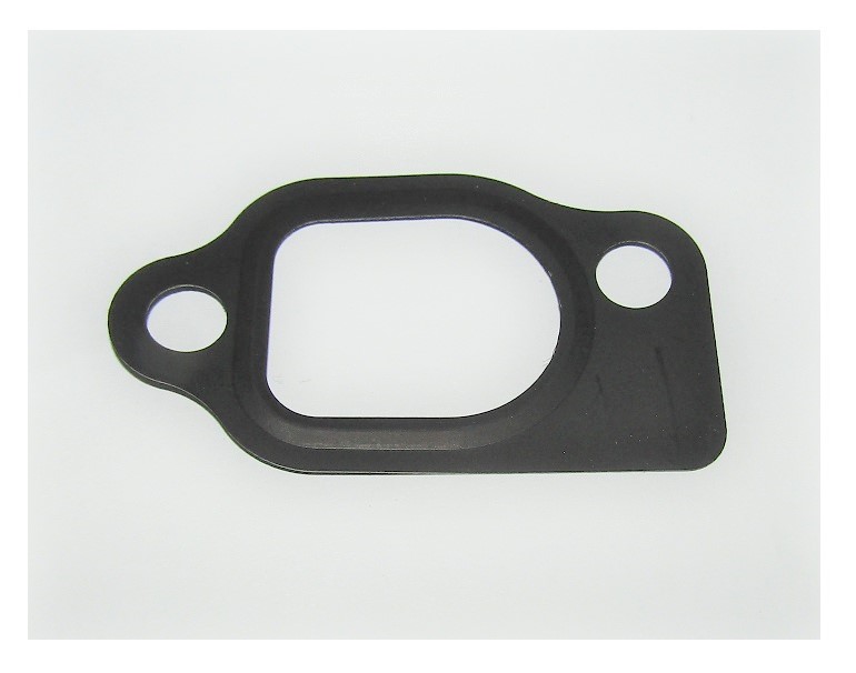 Прокладка впускного коллектора и карбюратора SGG 10000(..),2V78F-2 Lf / Inlet gasket (12254)
