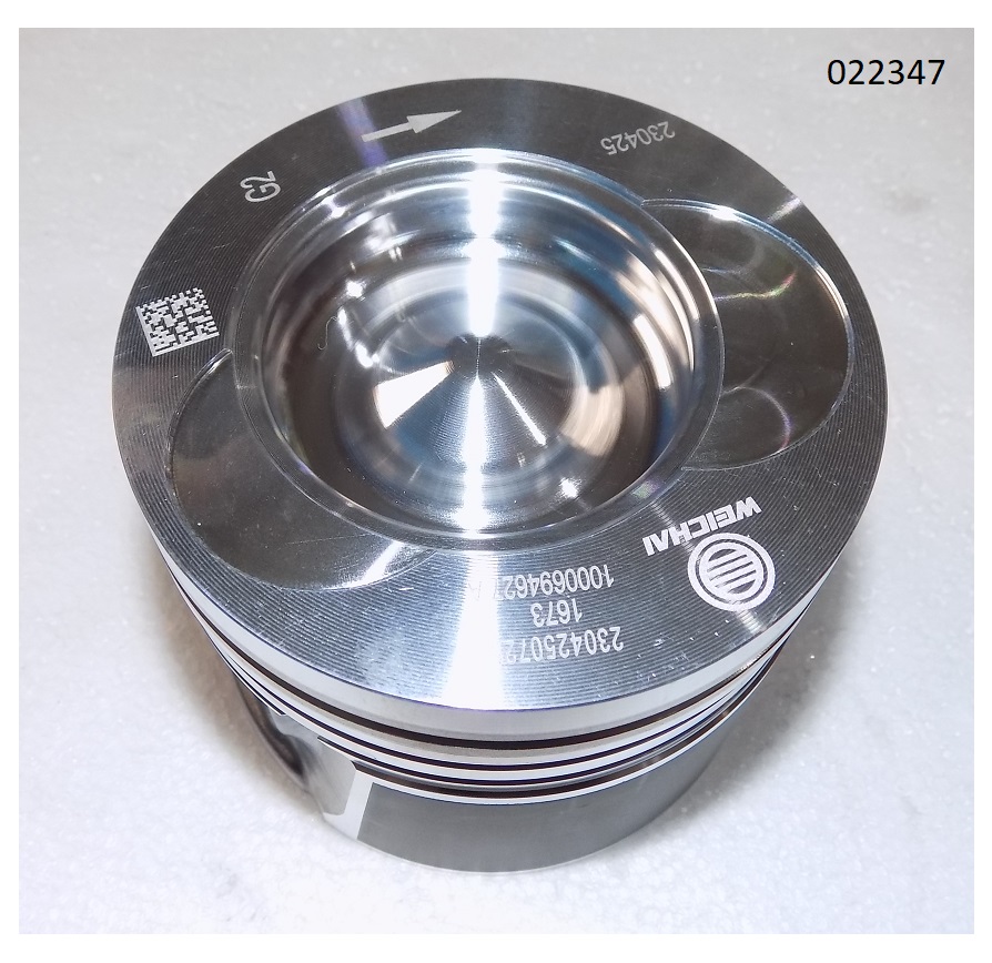 Поршень WP2.3D33E200/Piston
