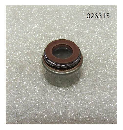 Колпачок маслосъёмный R2V870X / Valve guide oil seal 7*11*10F(WS2V88-02030)