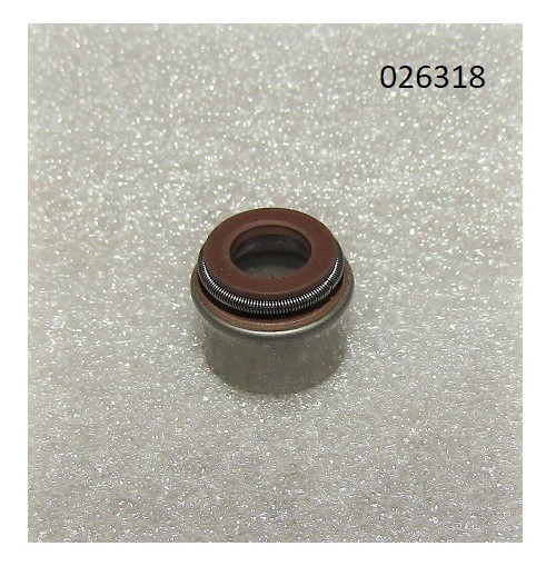 Колпачок маслосъёмный R2V910X / Valve guide oil seal (WS2V88-02030)