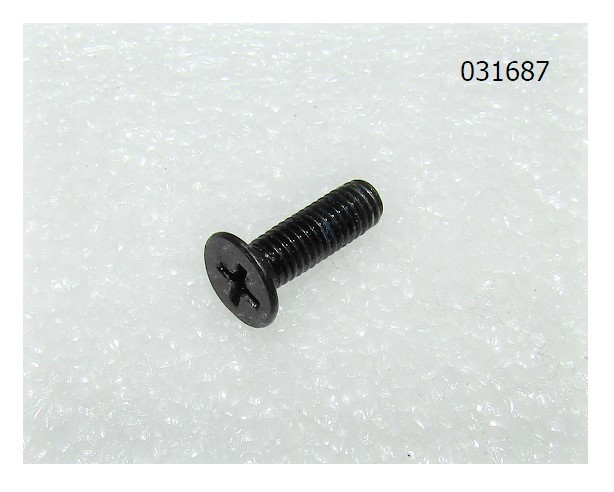 Винт крепления датчика уровня топлива SGG 9000ELA (М5х16,5) / Cross recessed countersunk head screw (380220009-0004)