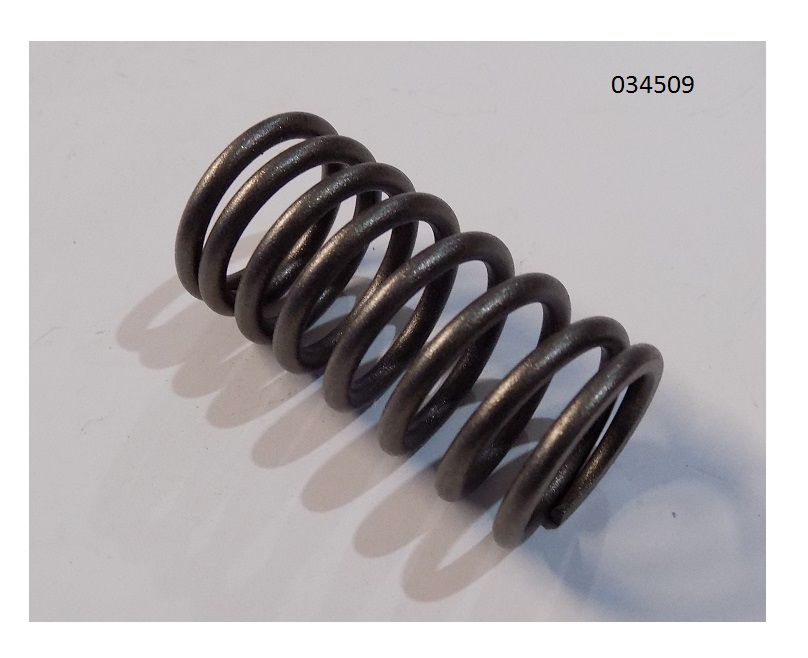 Пружина клапана внутренняя WP4.1D80E200/Inner Valve Spring (2010325)