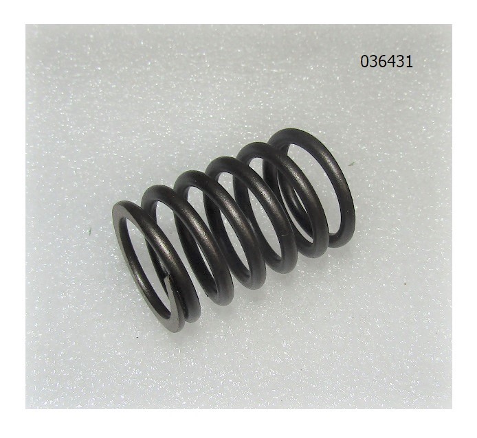 Пружина клапана SGG 10000Ei,SV460 до 08.2024 Sc / Valve spring (34015-00004-00)