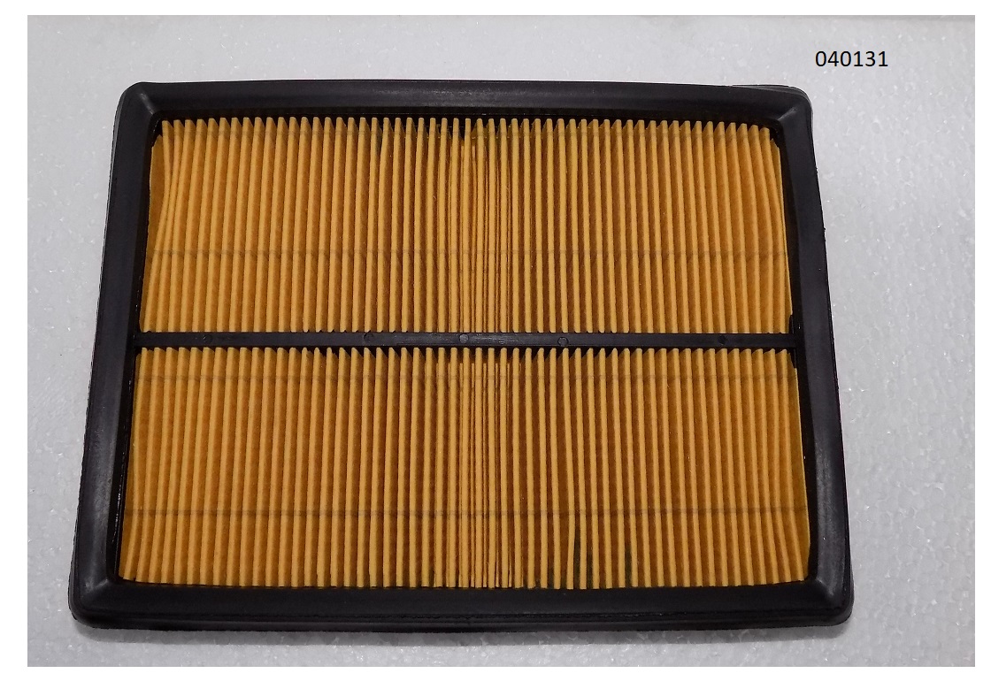 Фильтр воздушный (элемент) SDG 12000(..),WS2V88B Ws / Air filter element (WS2V88-073001-SL)