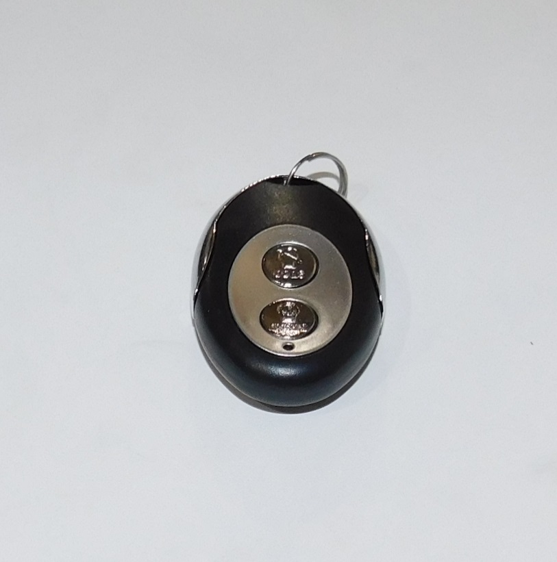 Пульт(брелок) дистанционного запуска SGG 4000ESi-5000ESi Km / Separate remote control