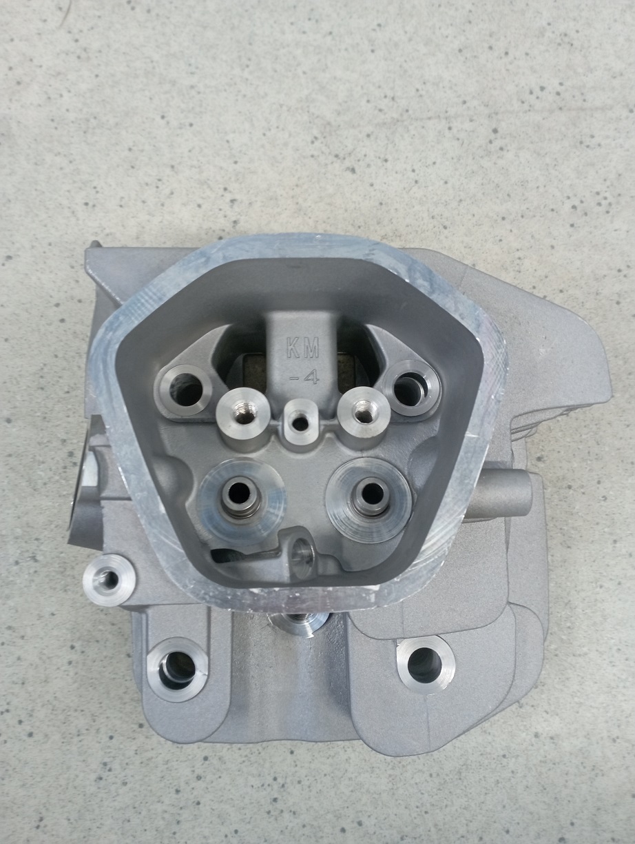 Головка блока цилиндра SGG 5000(..)-6000(..),KM190FP / Cylinder head (03.02.12140-19003-00)