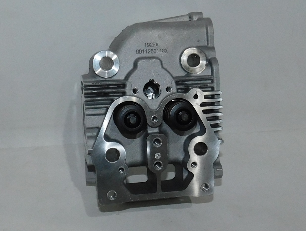 Головка блока цилиндра SDG 7000(..),LT192FD Lt / Cylinder head assy (1.02.02.01.0009)