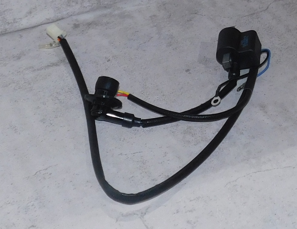 Катушка зажигания SGG 6000ESi,SV320B / Ignition coil (20028-00160-00)