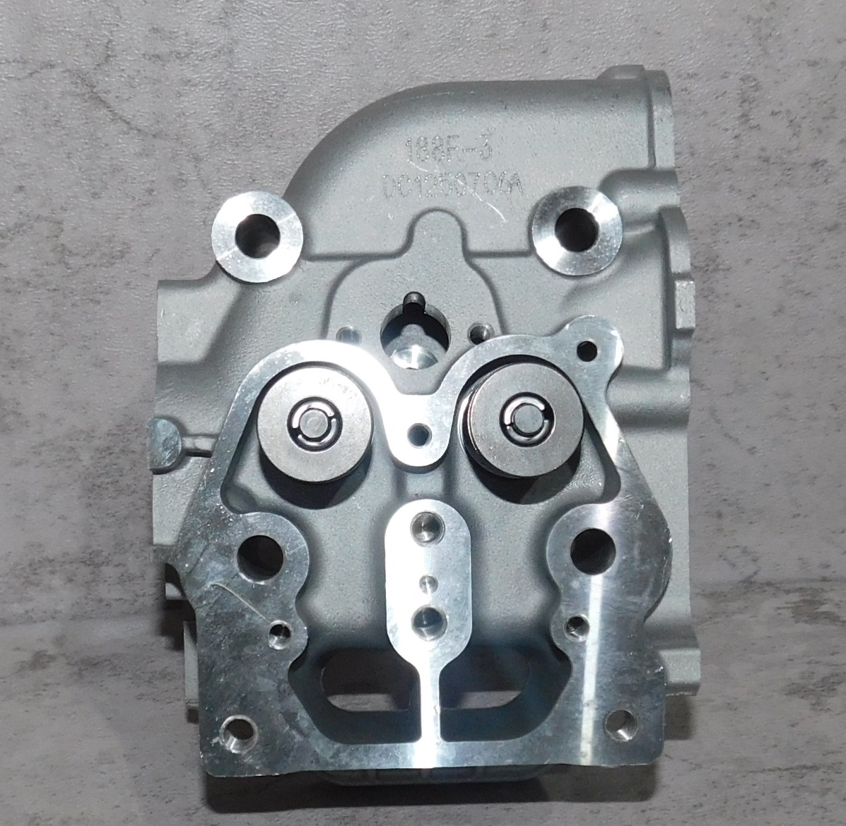 Головка блока цилиндра SDG 5500EHA,CP188FE (в сборе - клапаны,пружины) Cm / Cylinder head assy (20023-00056-00)