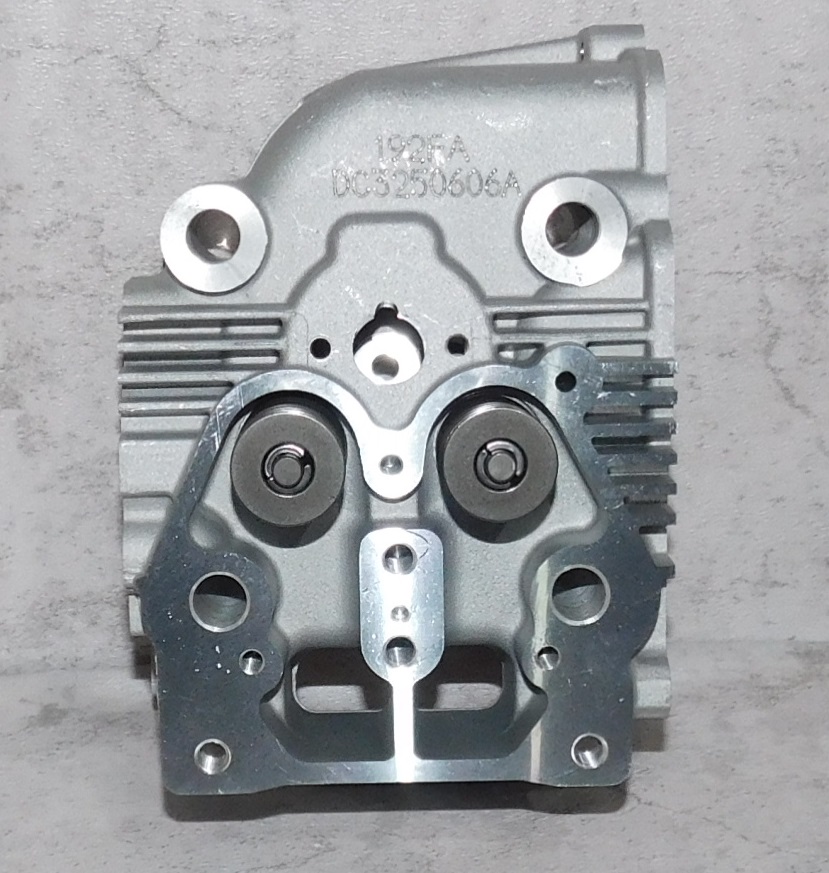 Головка блока цилиндра SDG 6500EHA,CP192FE (в сборе - клапаны,пружины) Cm / Cylinder head assy (20021-00160-00)