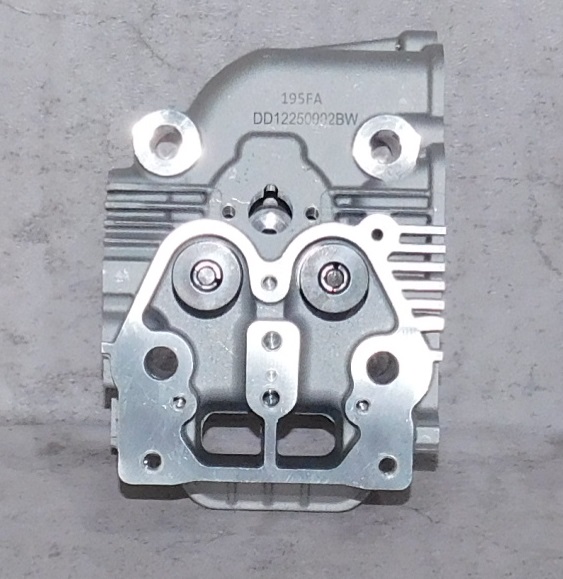 Головка блока цилиндра SDG 7500(..),CP195FE (в сборе - клапаны,пружины) Cm / Cylinder head assy (20021-00159-00)