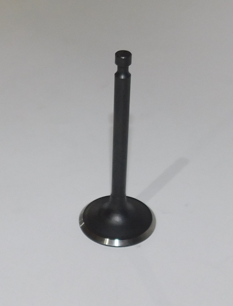 Клапан впускной SGG 3000Si(ESi),KM165F Km / Intake valve (03.02.12111-16501-00)